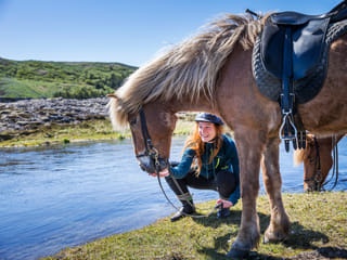 Horses and Waffles, photo 6