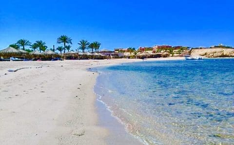 Premium Sharm El Naga Full-Day Snorkeling with Turtles – Hurghada