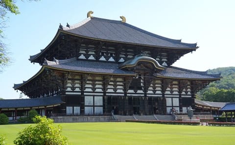 Nara Early Morning Tour (Kyoto or Osaka Departure Available)