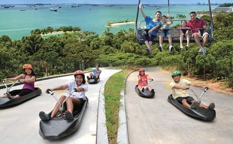 Skyline Luge Adventure at Sentosa Island, Singapore