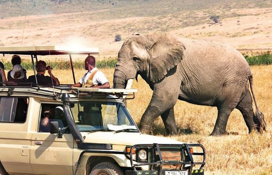 21Days Best of Kenya & Tanzania Safari, Climbing Mount Kilimanjaro & Diani Beach
