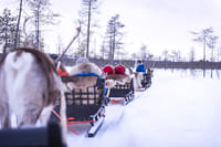 Reindeer Safari in Finnish Lapland