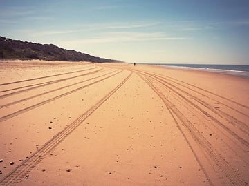 Donana National Park