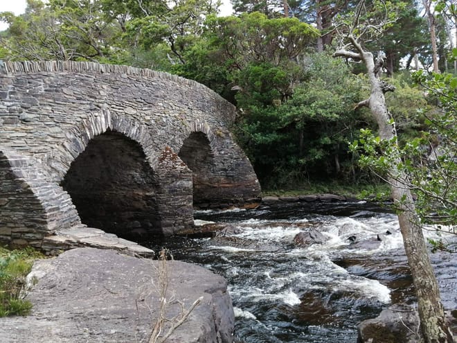 Private group cycle in Killarney National Park. Kerry. Guided.  9