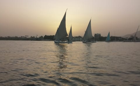 Sunset Felucca Sailing Tour on the Nile in Luxor