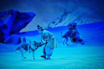 Camel Bell Show Experience with Round-Trip Transfers in Xi'an
