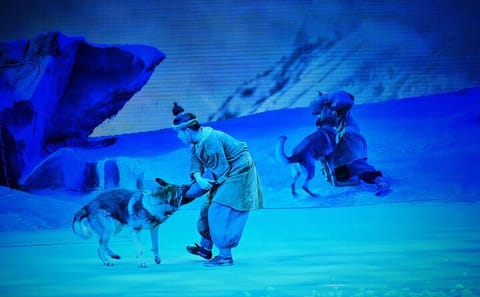 Camel Bell Show Experience with Round-Trip Transfers in Xi'an