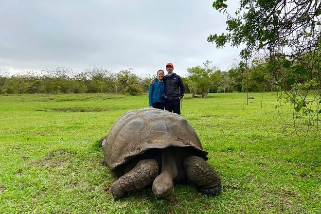 Giant Turtle + Tourists