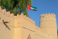 Discover Al Ain Forts and Oasis from Dubai 3