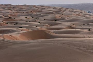 Half-Day ATV Adventure in Wahiba Sands, Muscat
