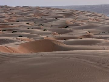 Half-Day ATV Adventure in Wahiba Sands, Muscat