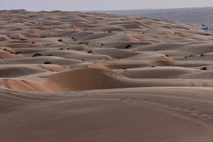 Safari Half-Day Wahiba Sands (Sharqiyah Sands) Desert
