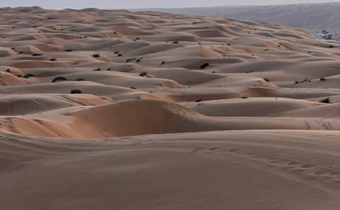 Half-Day ATV Adventure in Wahiba Sands, Muscat