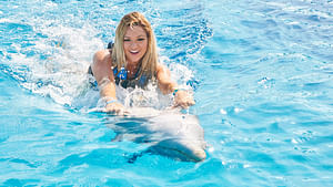 Dolphin Swim Adventure at Cozumel