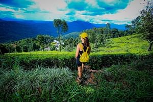 Overnight All-Inclusive Tea Plantation Adventure in Kandy