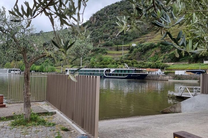 Porto to Douro with optional stops Amarante-Régua-Lamego-Vila Real-Pinhão
