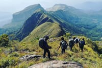 Knuckles and Riverston trekking in 1 day 9