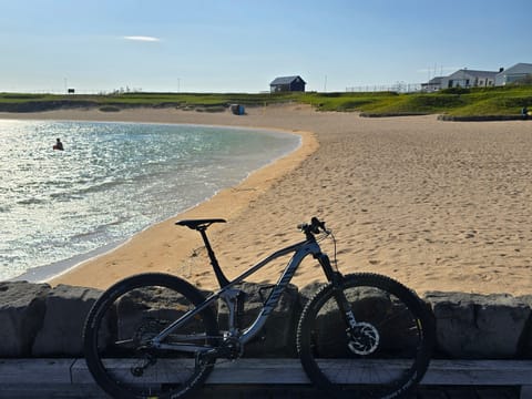 Reykjavik MTB Private Bike Tour, photo 3