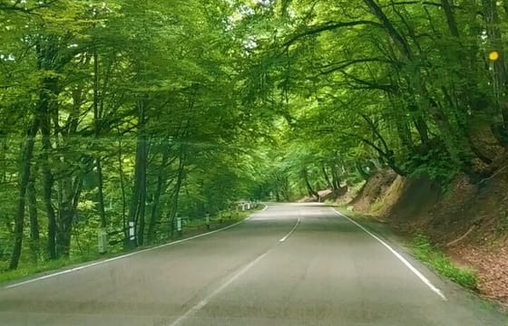 Discover Telavi: Tsinandali, Alaverdi & Gombori Tour