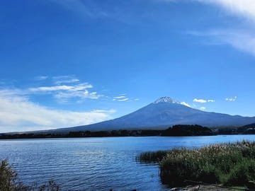 Mount Fuji Five Lakes Private Tour