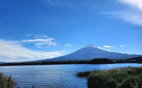 Mount Fuji Five Lakes Private Tour