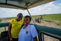 Rhinos in the background - Photo by Kimani Waiti