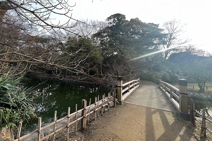 Guided Walking Tour in Hama Rikyu Gardens