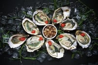 Half-Day Trip - Oysters in Ston 3