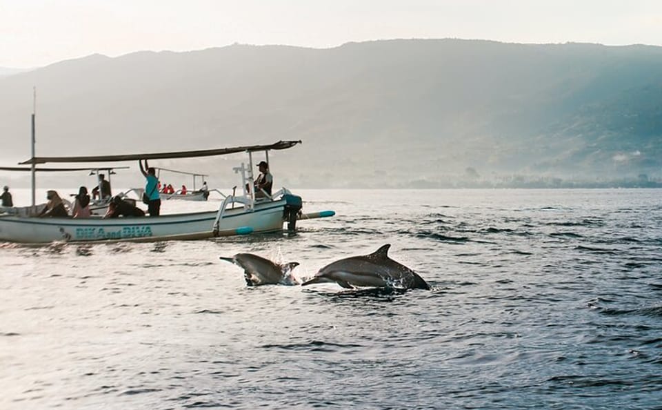 Dolphin Watching and Snorkeling Tour in Lovina Beach