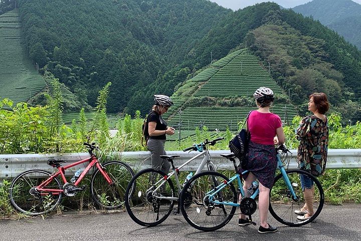 Guided Bike Tour to a Green Tea Farm in Shizuoka (not e-bikes)