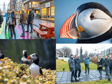 Reykjavik City Walk and Puffin Watching Boat Tour