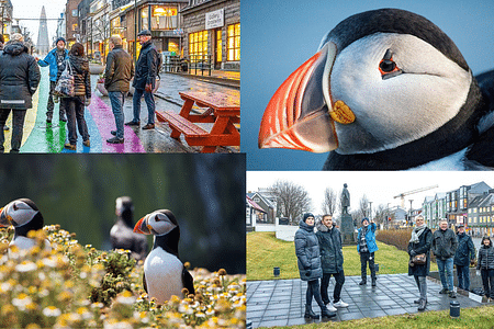 Reykjavik City Walk & Puffin Watching Adventure by Boat