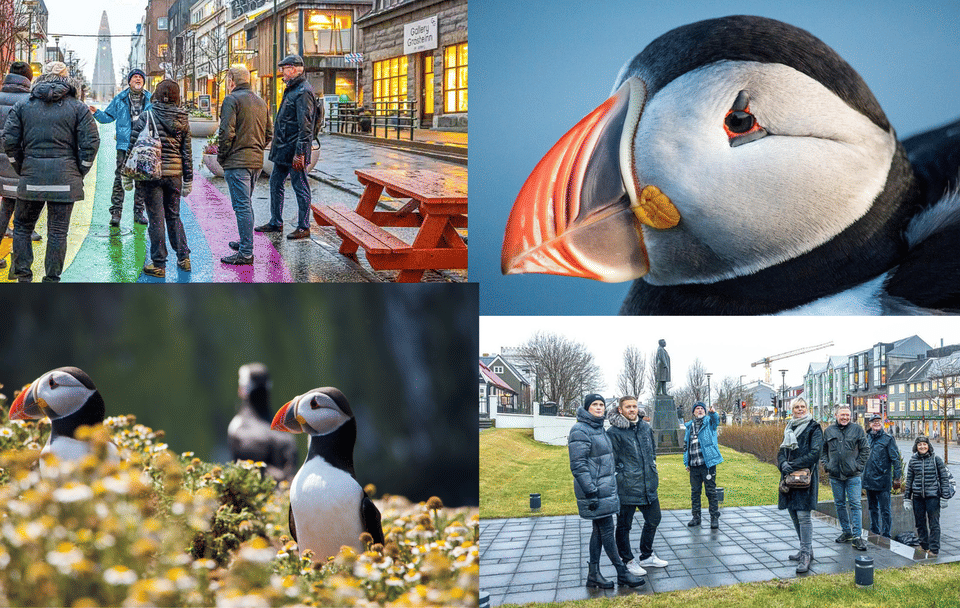 Puffins & People: A Reykjavik City & Boat Adventure