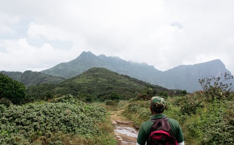 Full-Day Trekking Adventure in Kandy and Matale, Sri Lanka