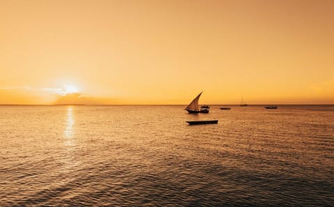 Dhow Sunset Cruise