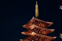 Asakusa Night Evening Walking Tour with English-Speaking Guide 9
