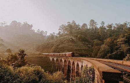 Ella Day Tour from Galle with Scenic Highlights