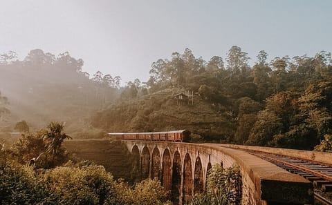 Ella Day Tour from Galle with Scenic Highlights