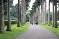 Back Packer Sri Lanka - 10N/11D  6