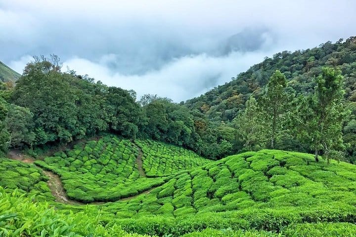 Every Corner a Story | 7 Days