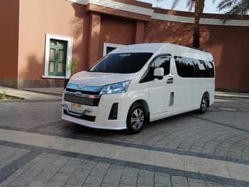 Private Luxor Driver: Customize Your Ancient Temple Tour
