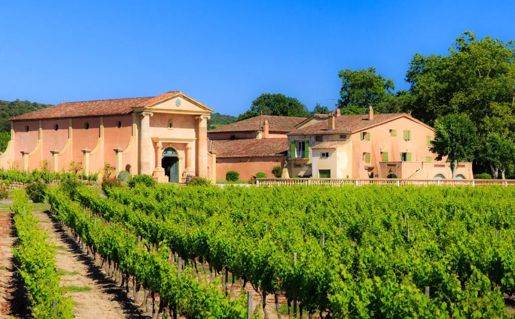 The vineyards of the Coteaux d'Aix-en-Provence and the Sainte-Victoire Mountain 3