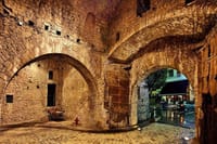 The Castle of Ioannina