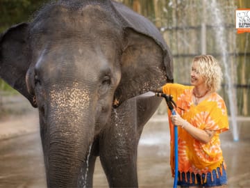 Elephant Feeding and Shower Experience in Chiang Mai
