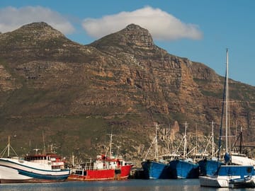 Private Full Day Tour of Cape Point and Cape Town Highlights