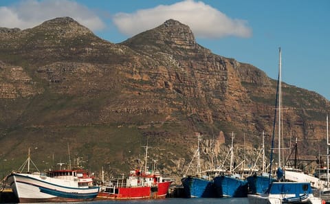 Private Full Day Tour of Cape Point and Cape Town Highlights