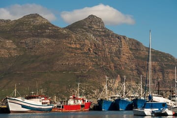 Private Full Day Tour of Cape Point and Cape Town Highlights