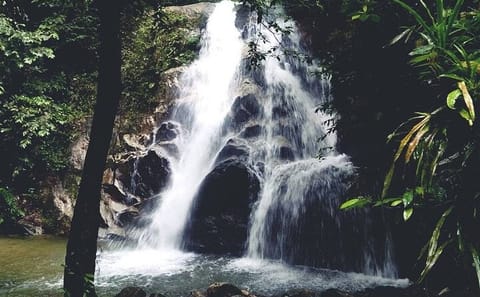 Kanching Waterfalls and Batu Caves Half-Day Tour in Kuala Lumpur