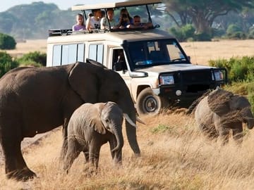 6 Days Small Group Safari To Masai Mara, Nakuru And Amboseli
