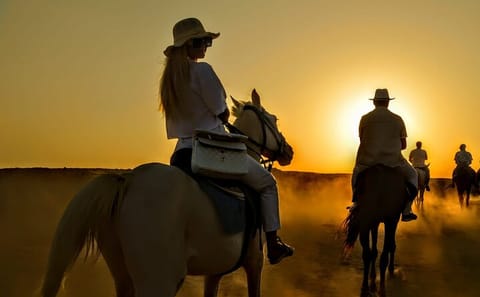 Horseback Riding Adventure on Beach and Desert in Hurghada